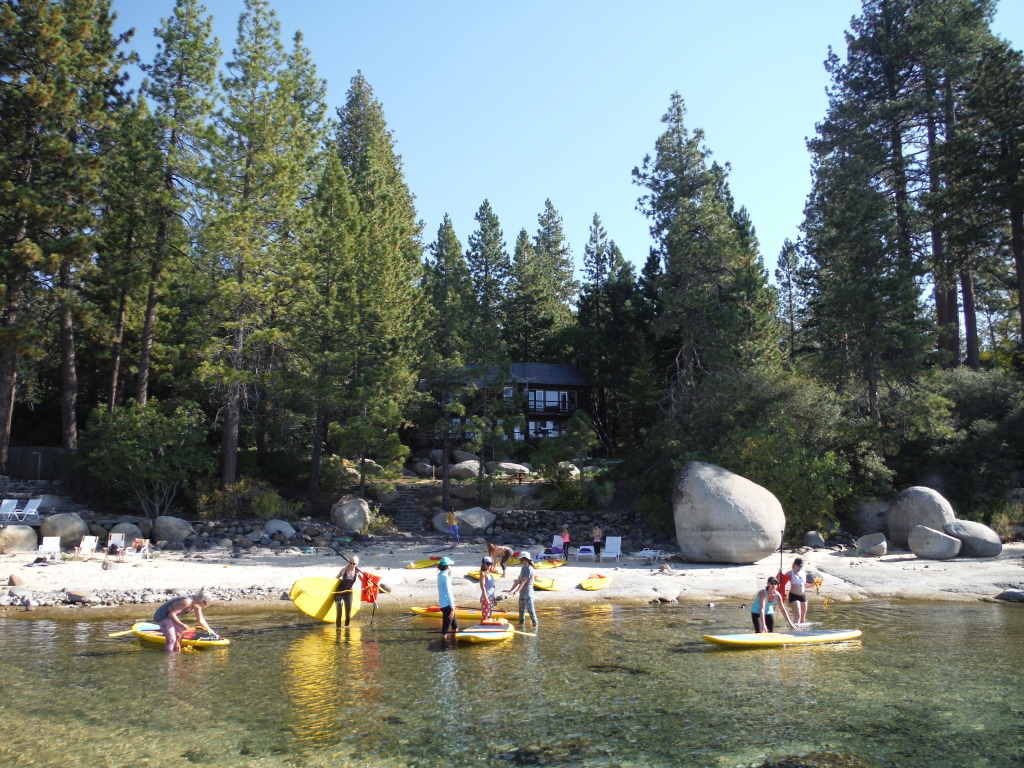 tahoe herding cats