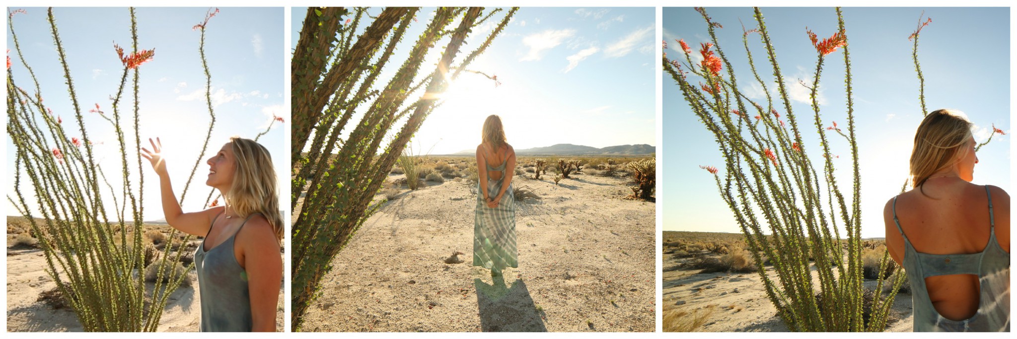 desert collage