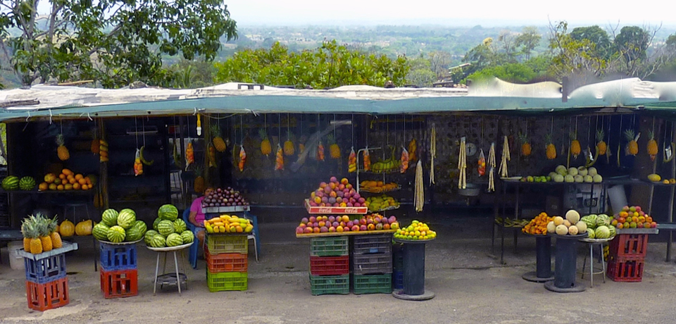 Costa-Rica-fruit-stand