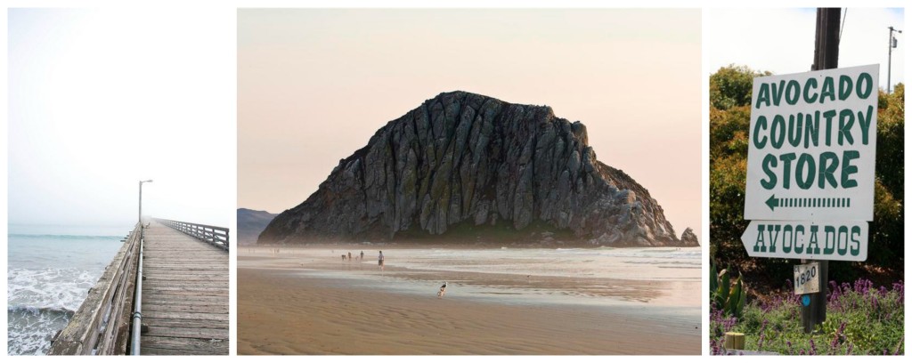 morro bay magic